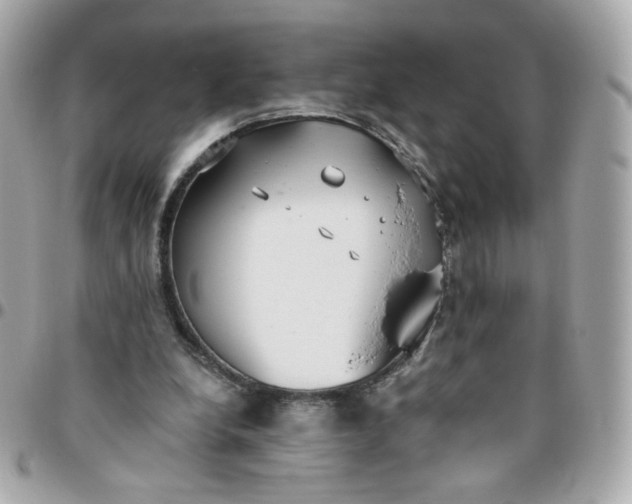 X0000096210248200802011327