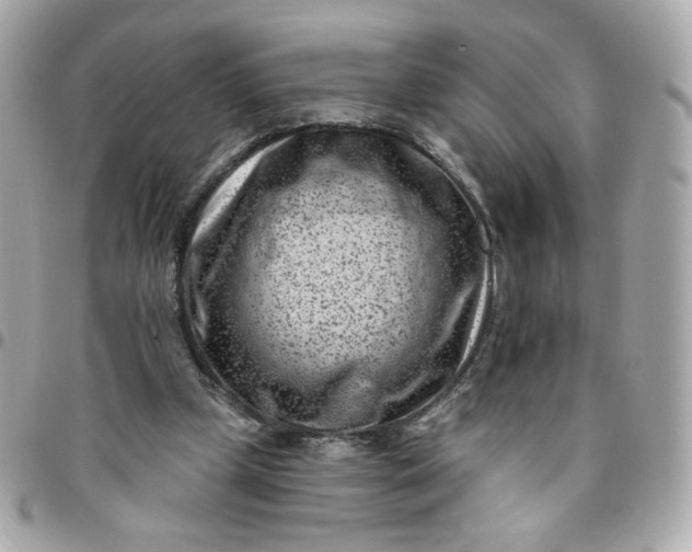 X0000096210249200802011327