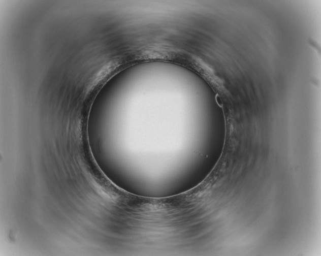 X0000096210250200802011327