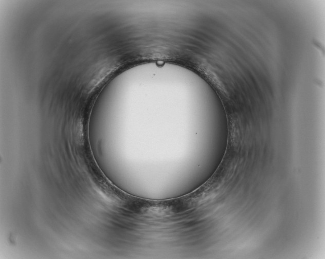 X0000096210251200802011327