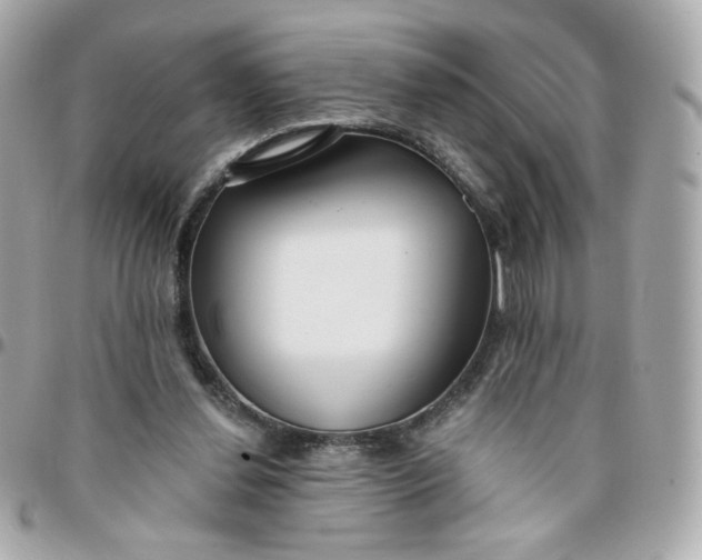 X0000096210252200802011327