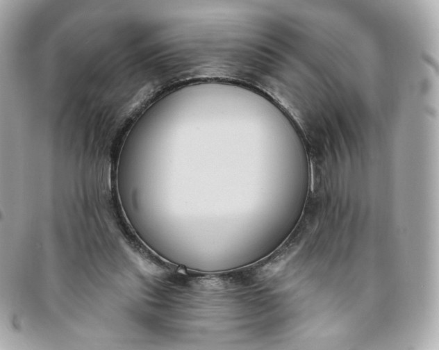 X0000096210253200802011327