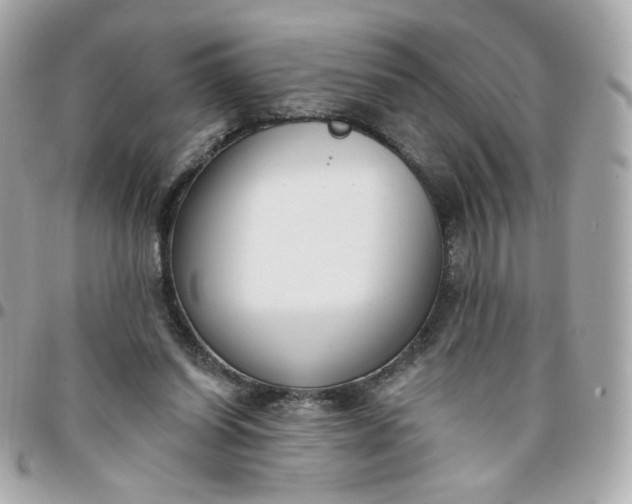 X0000096210254200802011327