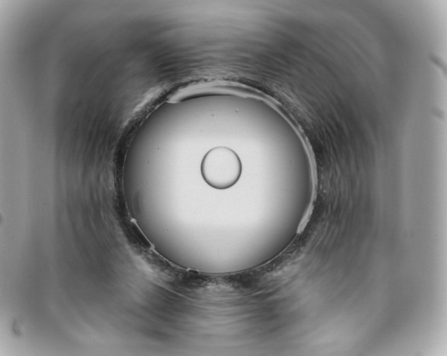 X0000096210256200802011327