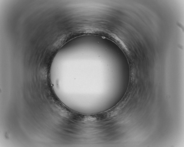 X0000096210257200802011327