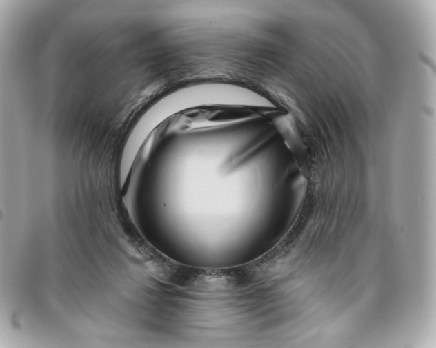 X0000096210260200802011327