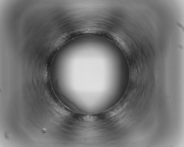 X0000096210261200802011327