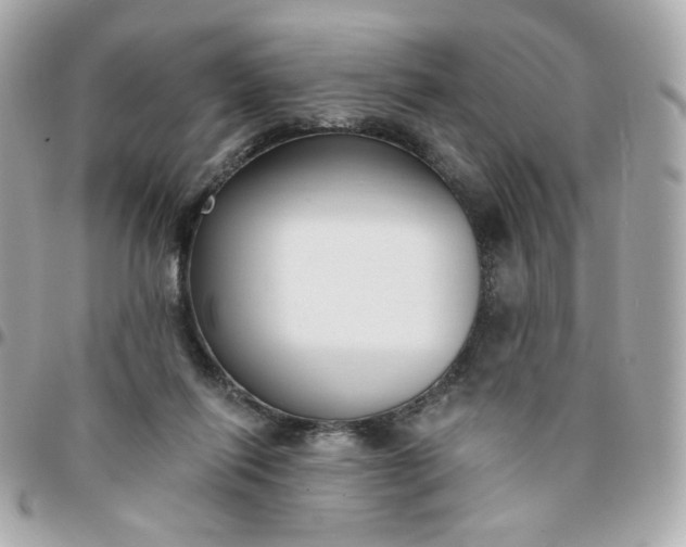 X0000096210262200802011327