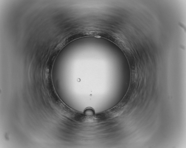 X0000096210263200802011327