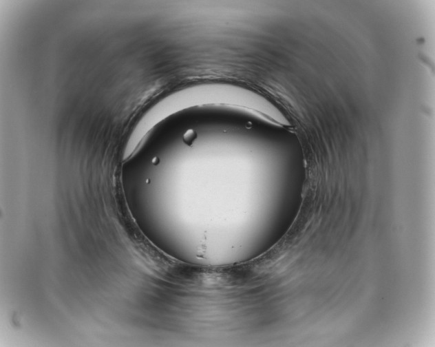 X0000096210264200802011327