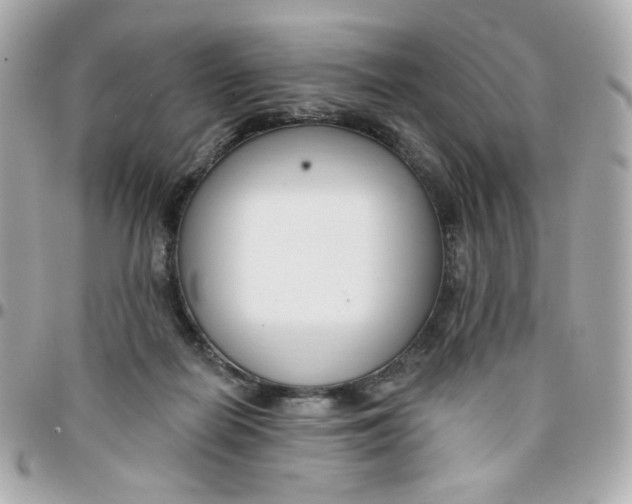 X0000096210266200802011327