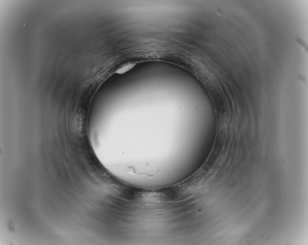 X0000096210268200802011327