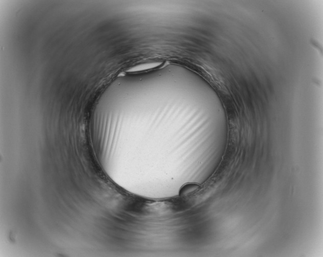 X0000096210269200802011327