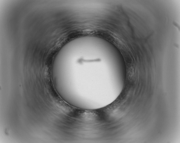 X0000096210270200802011327