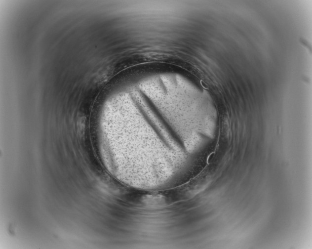 X0000096210271200802011327