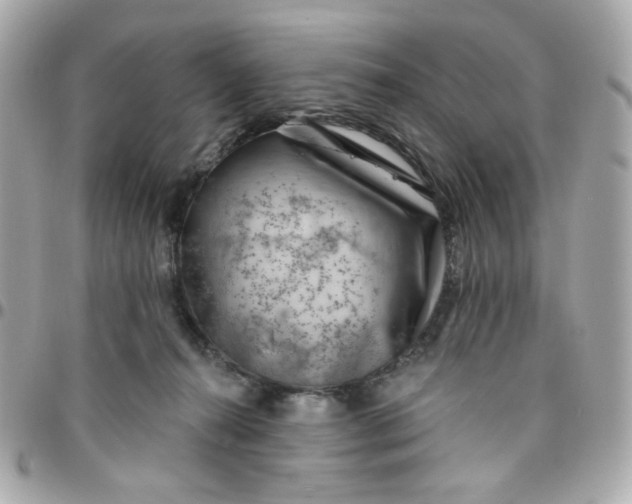 X0000096210272200802011327