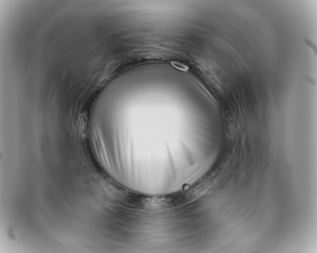 X0000096210273200802011327