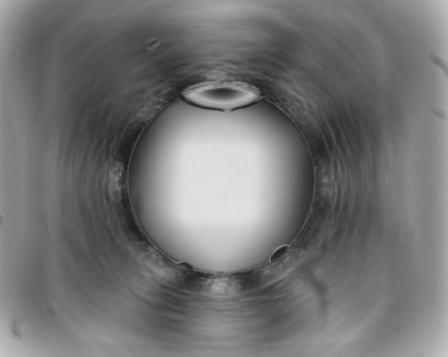 X0000096210275200802011327