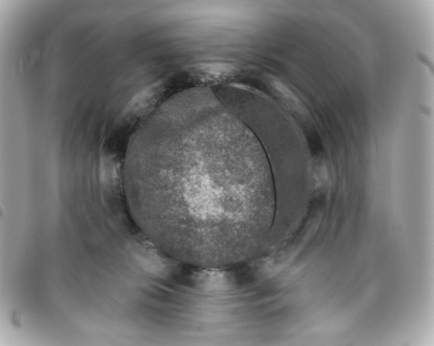 X0000096210276200802011327