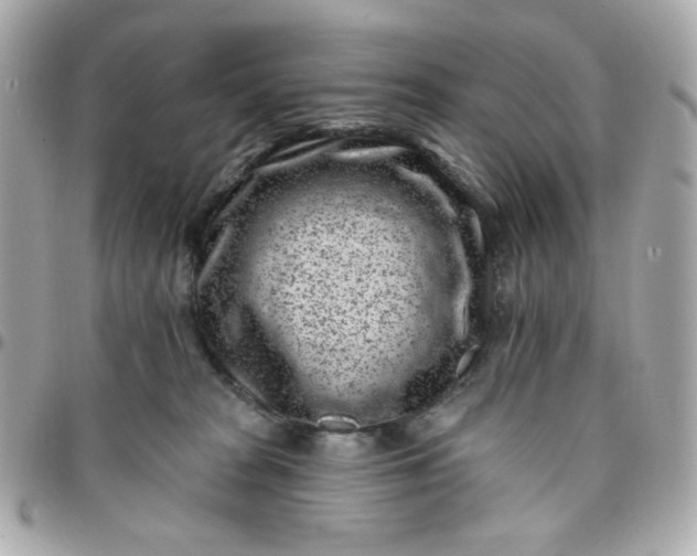 X0000096210277200802011327