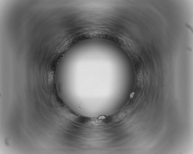 X0000096210278200802011327