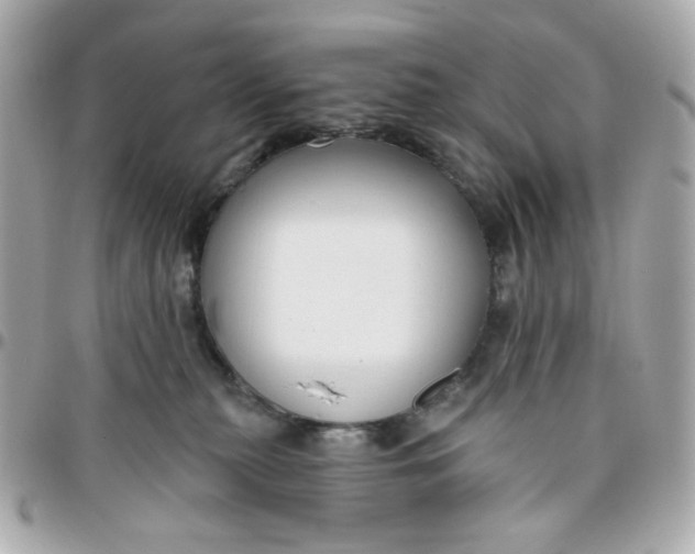 X0000096210279200802011327