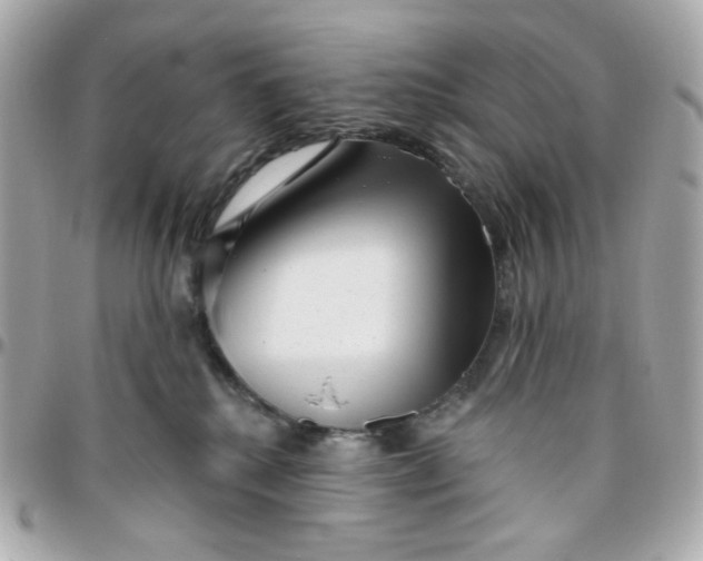 X0000096210280200802011327