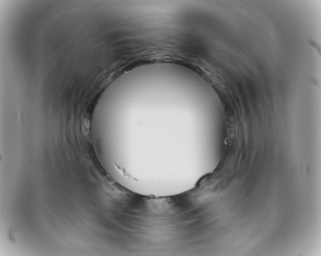 X0000096210281200802011327