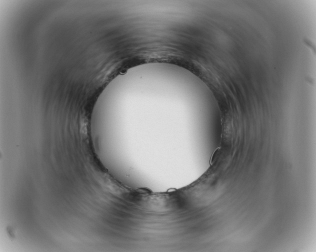 X0000096210282200802011327