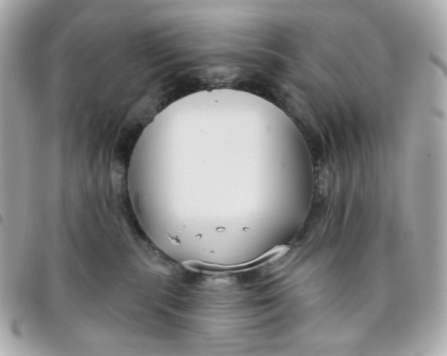 X0000096210283200802011327