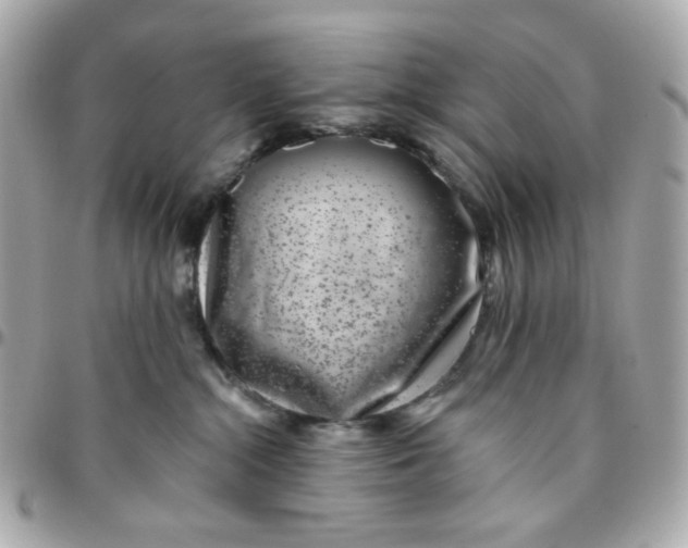 X0000096210284200802011327