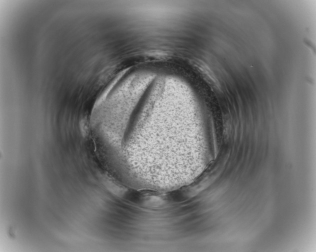 X0000096210285200802011327