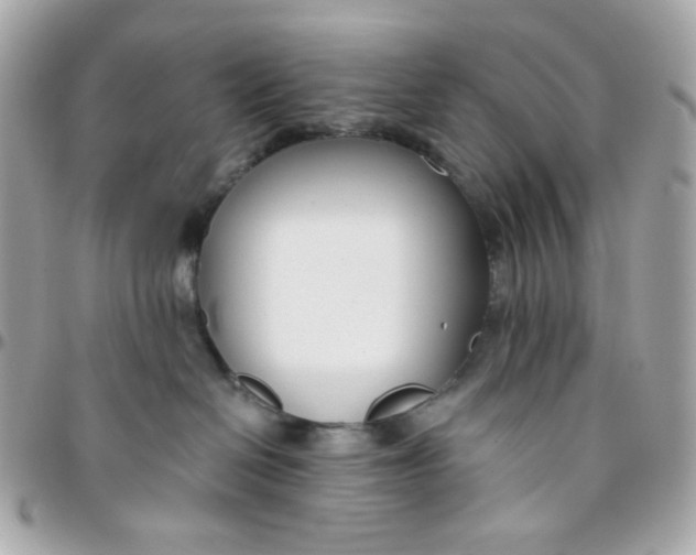 X0000096210286200802011328