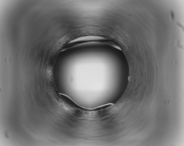 X0000096210288200802011328