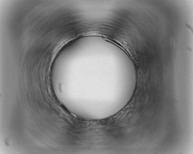 X0000096210289200802011327