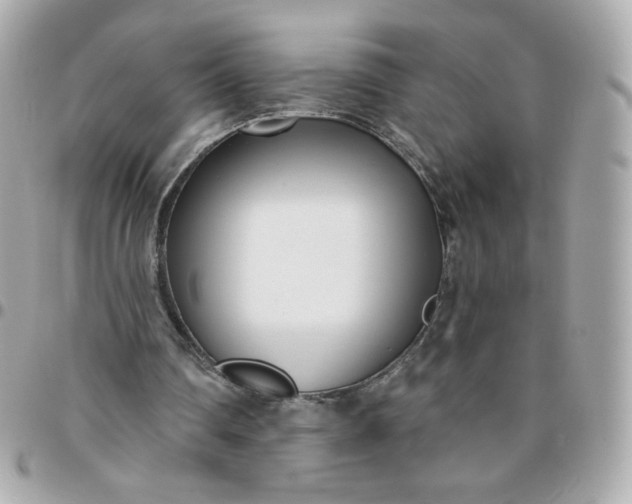 X0000096210290200802011327