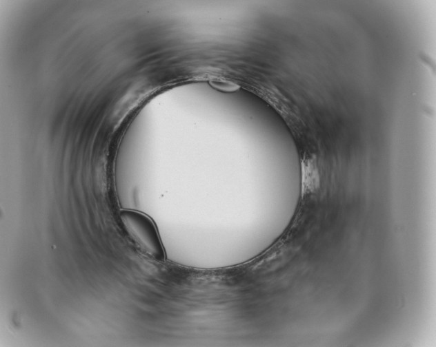 X0000096210291200802011327