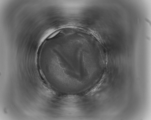 X0000096210292200802011327