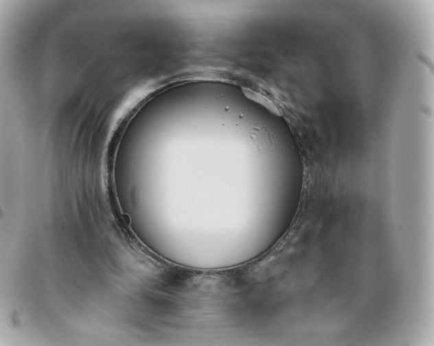 X0000096210294200802011327