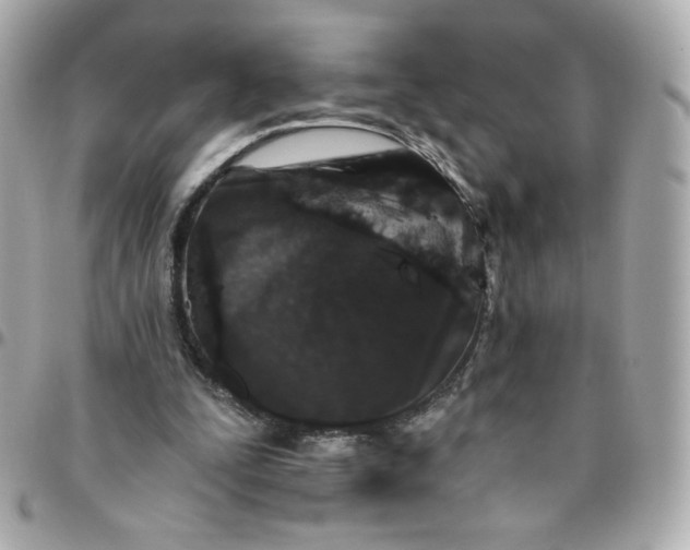 X0000096210295200802011327