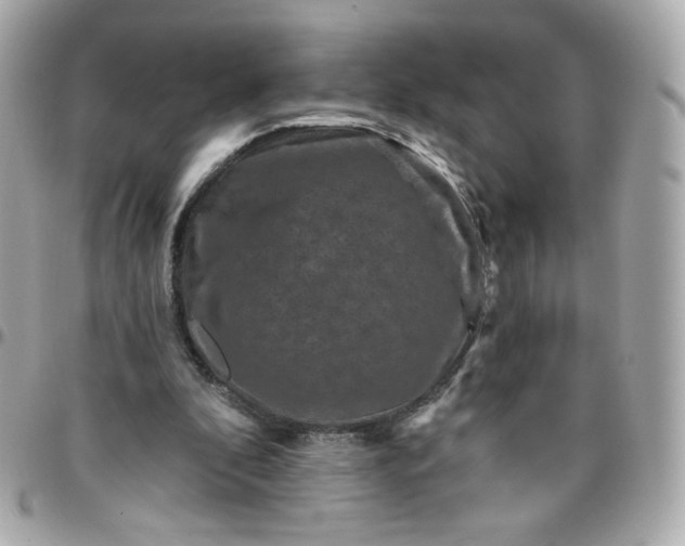 X0000096210296200802011327