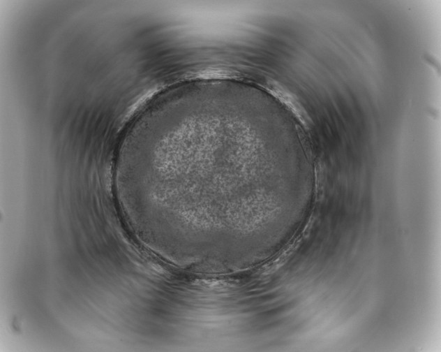 X0000096210297200802011327