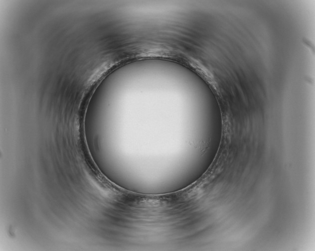 X0000096210298200802011327