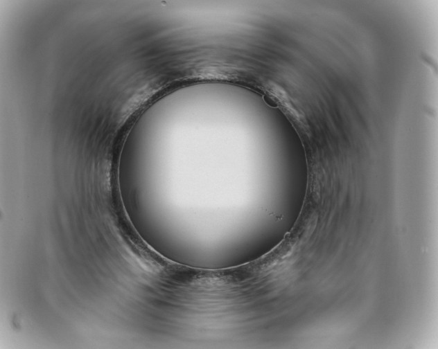 X0000096210299200802011327