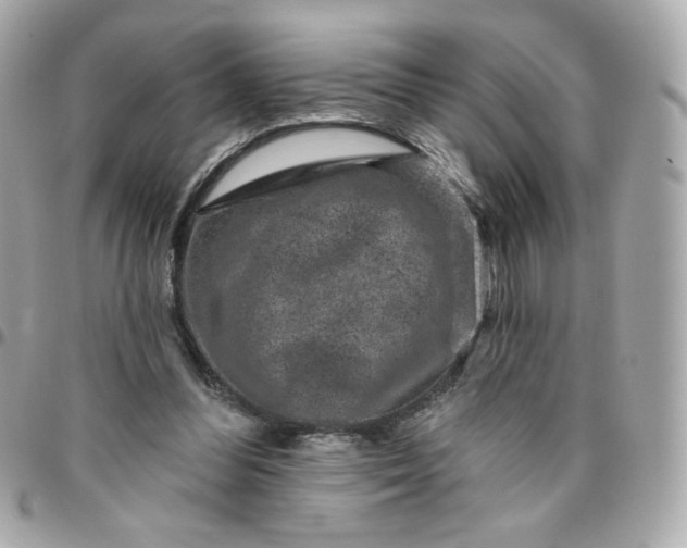 X0000096210300200802011327