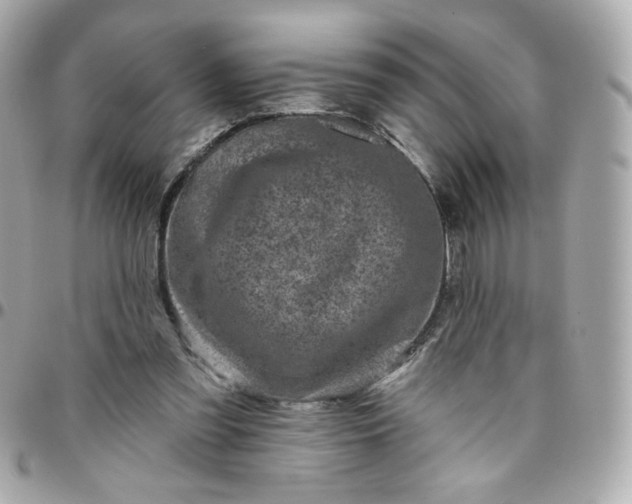 X0000096210301200802011327