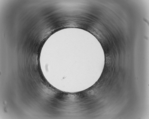 X0000096210302200802011327