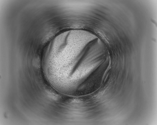 X0000096210303200802011327