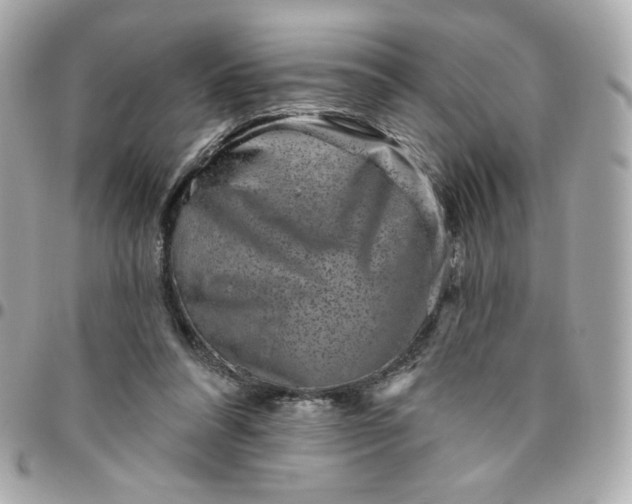 X0000096210304200802011327