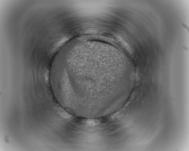 X0000096210305200802011327